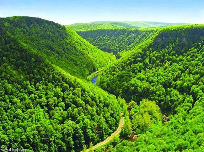 باحثون اكتشاف انزيم في النبات قادر ع التخلص من التلوث الناتج عن استخدام ال TNT